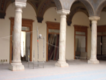 SDC10488