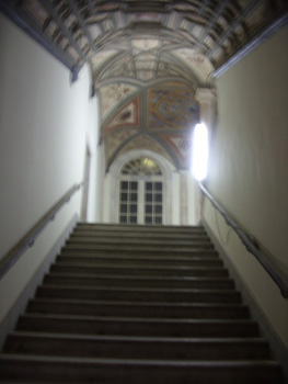 SDC10489