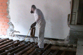 Trattamento antitarlo Palazzo Gerolamo Grimaldi,detto Meridiana su travetti originali2