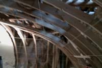Palazzo Gerolamo Grimaldi,detto Meridiana restauro conservativo delle centine della volta del soffitto a Vela23